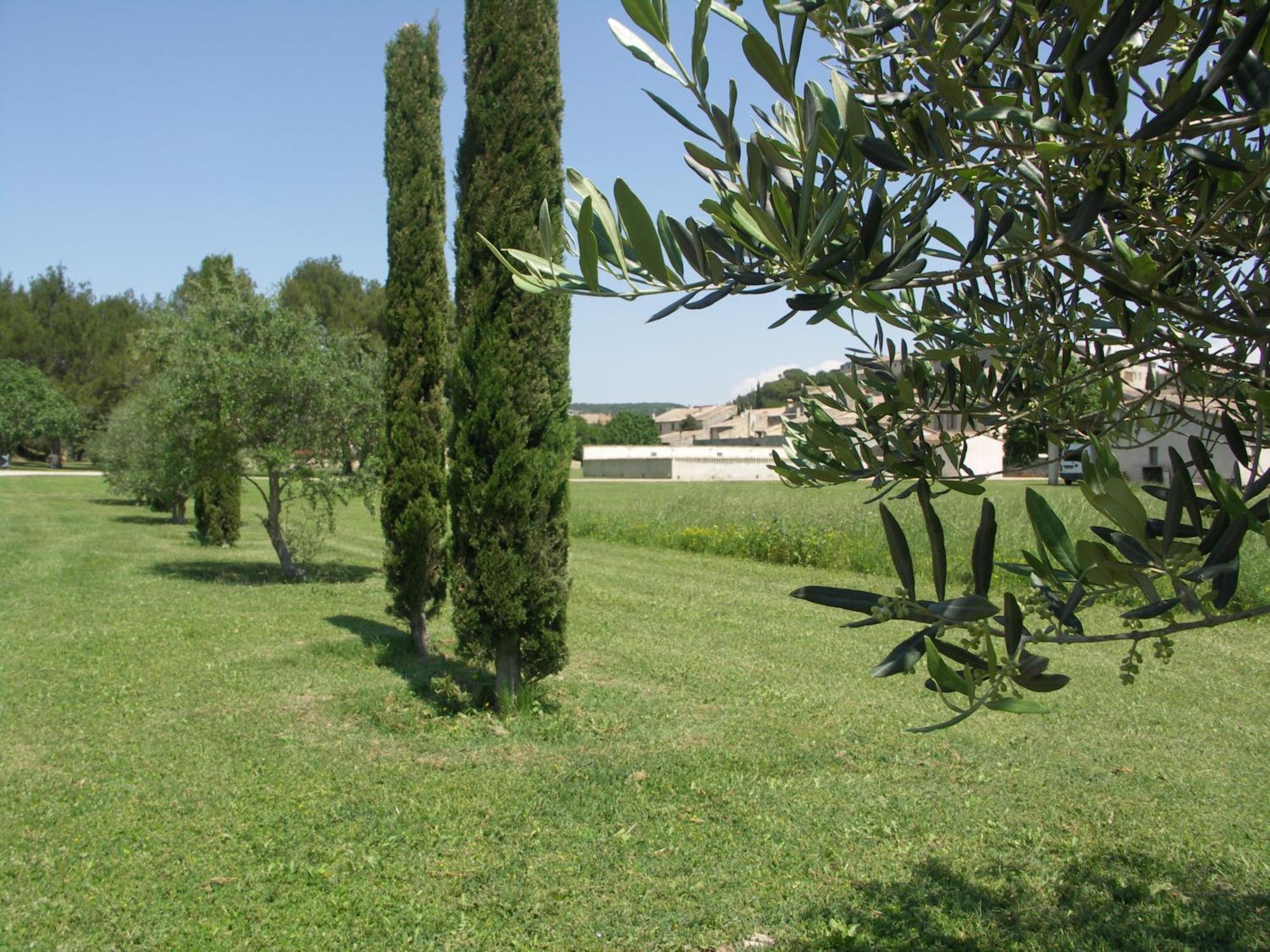 מלון Valliguieres Domaine Saint Martin מראה חיצוני תמונה